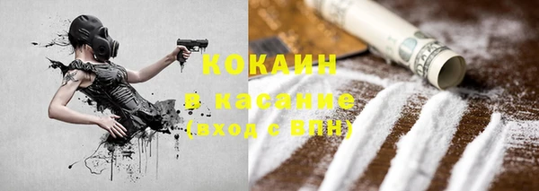 твердый Ельня