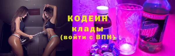 твердый Ельня