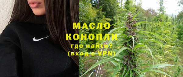 твердый Ельня