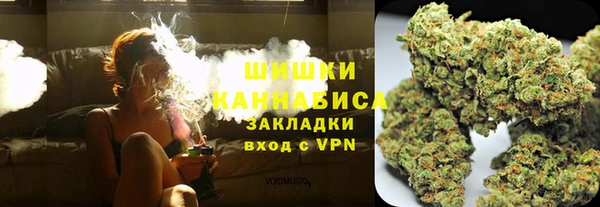 твердый Ельня
