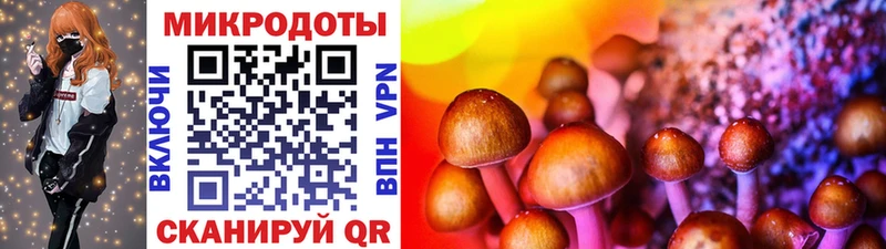 Купить где  Сельцо  Псилоцибиновые грибы MAGIC MUSHROOMS 
