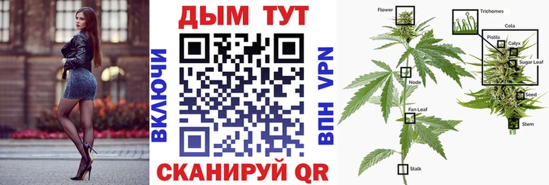 Купить  Сельцо  Каннабис конопля 